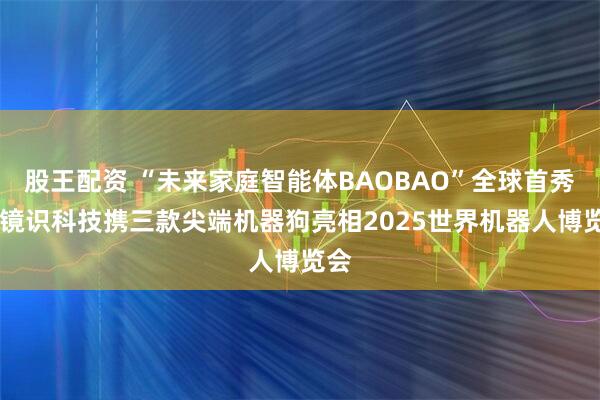 股王配资 “未来家庭智能体BAOBAO”全球首秀！ 镜识科技携三款尖端机器狗亮相2025世界机器人博览会