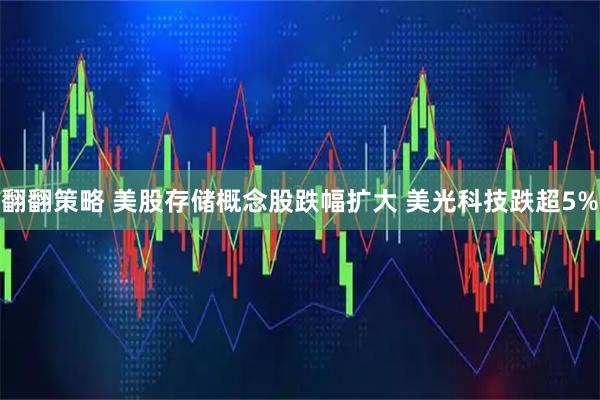翻翻策略 美股存储概念股跌幅扩大 美光科技跌超5%